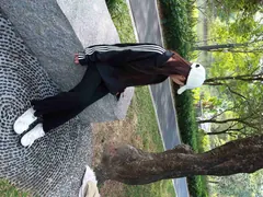 约拍系列 032号作品 黑衣草地[434P+125V／7.07GB] 预览图