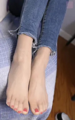 SH054小狐狸 预览图