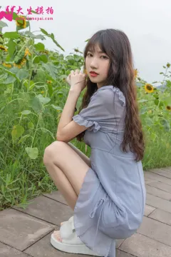 240 预览图