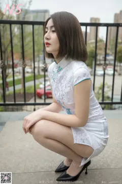 纳丝摄影 NO193 品茹 旗袍丝袜小御姐 [71P1V-856MB] 预览图