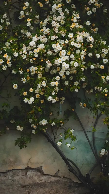 向日葵|抽象|海滩|艺术|手机壁纸-图宝宝